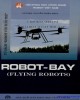 Ebook Robot bay (Flying robots): Phần 1