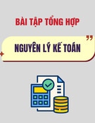 Bài tập tổng hợp học phần Nguyên lý kế toán